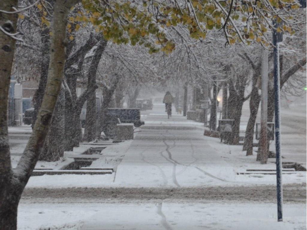 1593009513521nieve-mza
